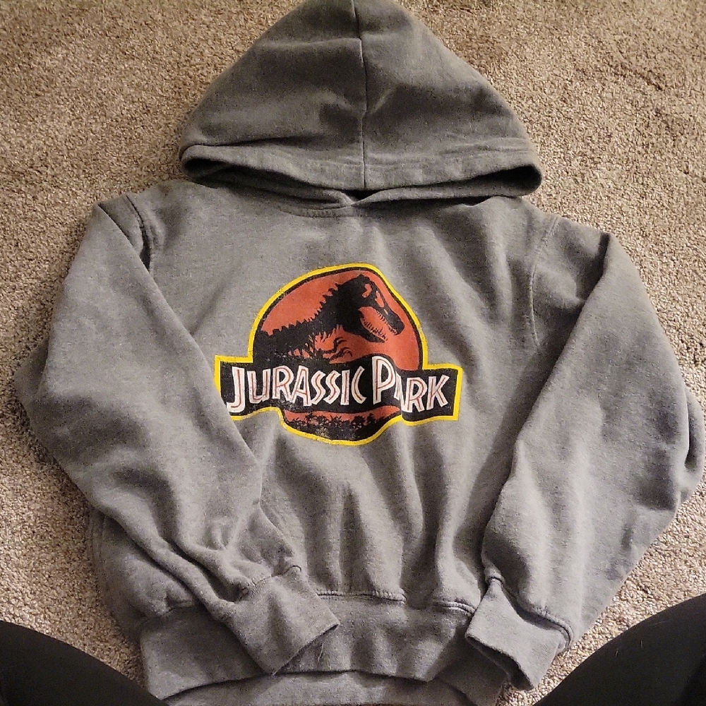 Universal Gray Jurassic Park Kids Hoodie